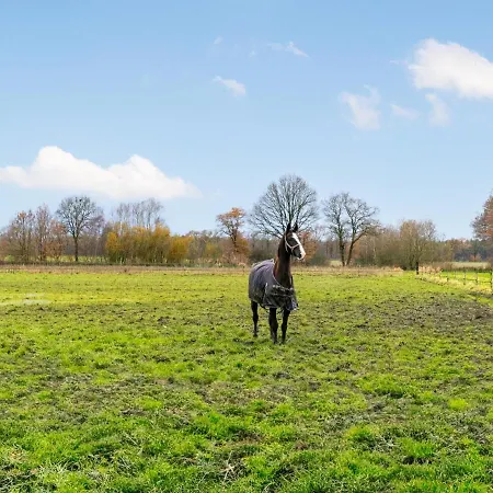 De Hoeve Ii